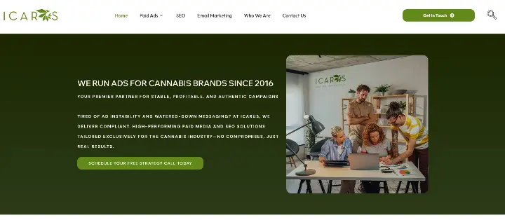 cannabis seo agency